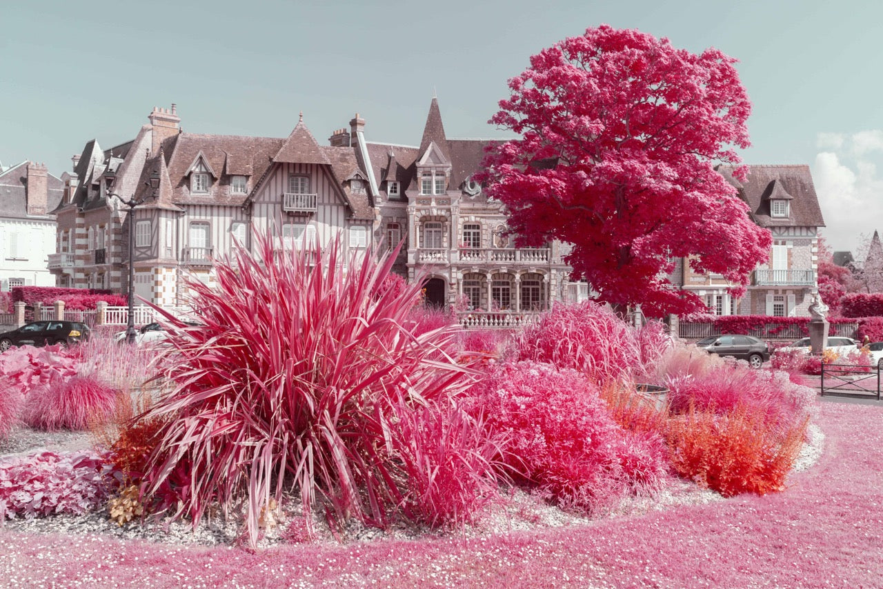 kolari vision filter image