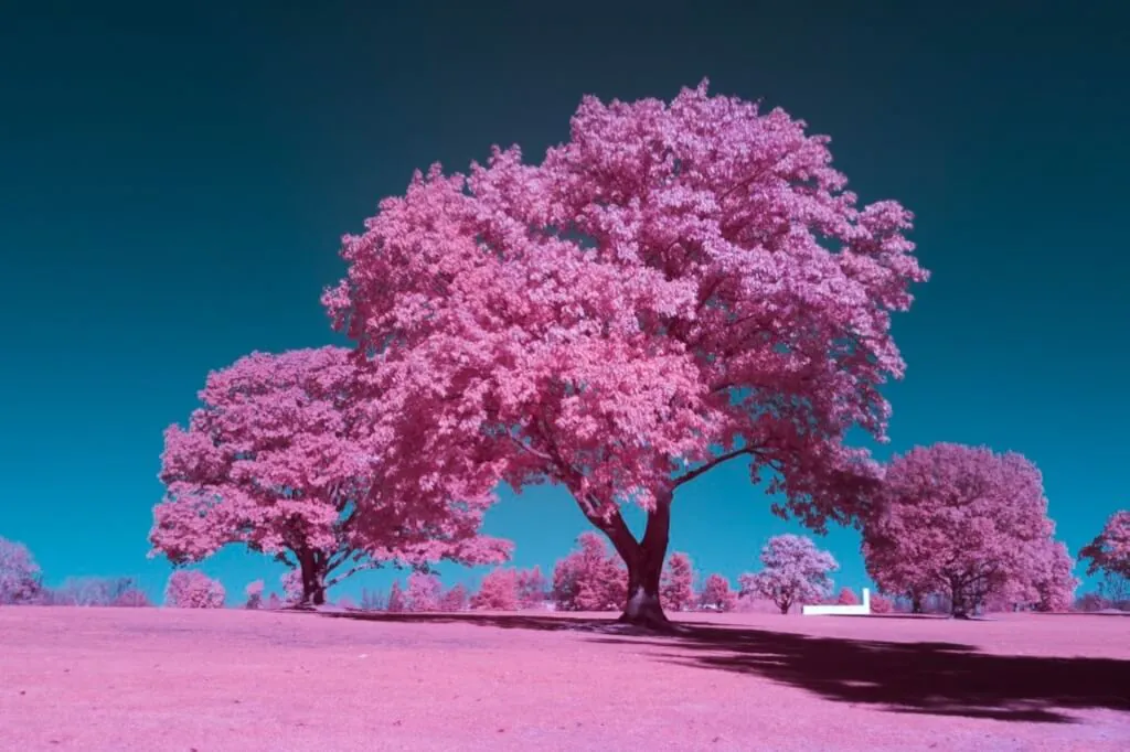 After image  550nm Infrared Filter