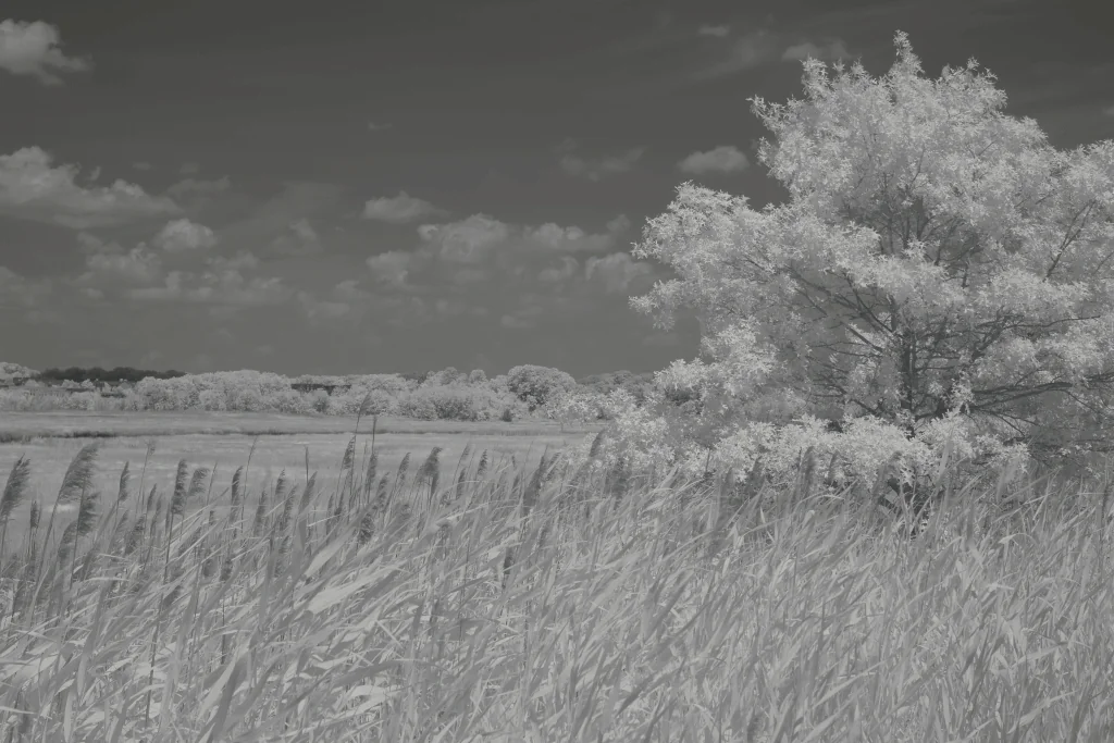 After image  780nm Infrared Filter