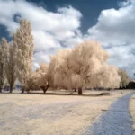 Thumbnail of Kolari Vision Infrared Filter 665nm   Image Example