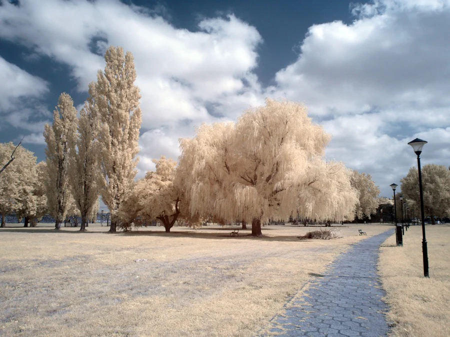 Kolari Vision Infrared Filter 665nm   Image Example