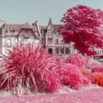 Thumbnail of PLF 6775 1 5 min min