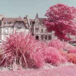 Thumbnail of PLF 6775 1 6 min min