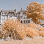 Thumbnail of PLF 6775 1 8 min min