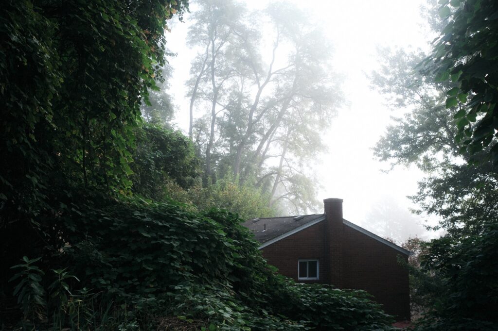 Image name: House in Pennsylvania, Author name: Phillip Andrew Iglesias