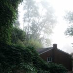 Thumbnail of Image name: House in Pennsylvania, Author name: Phillip Andrew Iglesias