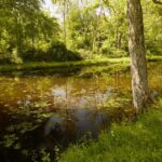 Thumbnail of 2 After CPL Full Size Large