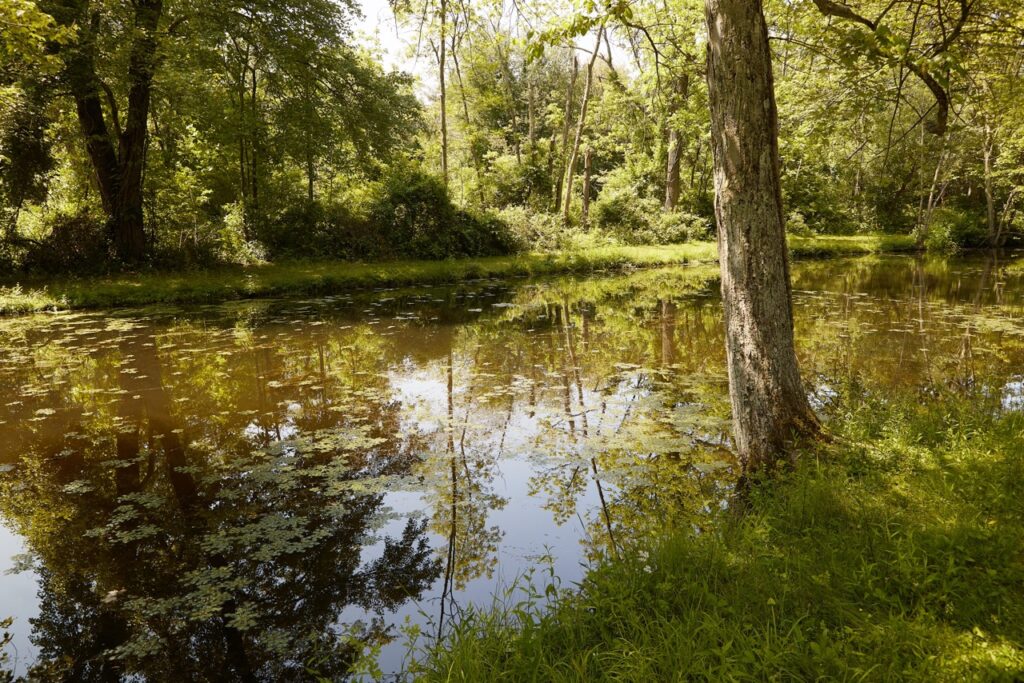 2 Before CPL Full Size Large