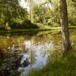 Thumbnail of 2 Before CPL Full Size Large