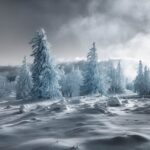 Thumbnail of Jonas Hangartner (720nm)