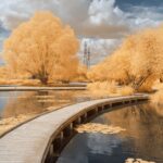 Thumbnail of 550nm 2 bis min