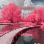 Thumbnail of 550nm 3 bis min 1