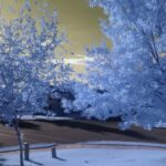 Thumbnail of Samsung WB250F 590nm RAW