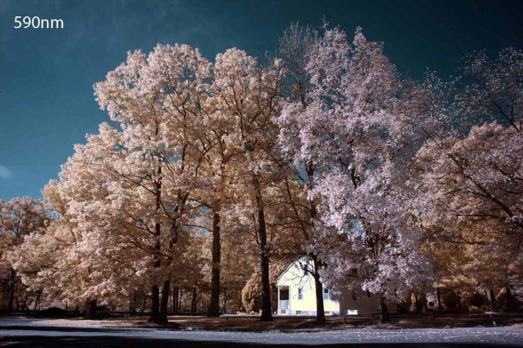590nm 2