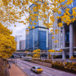 Thumbnail of 590nm Tran Minh Dung Golden City