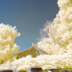 Thumbnail of 590nm channel swap