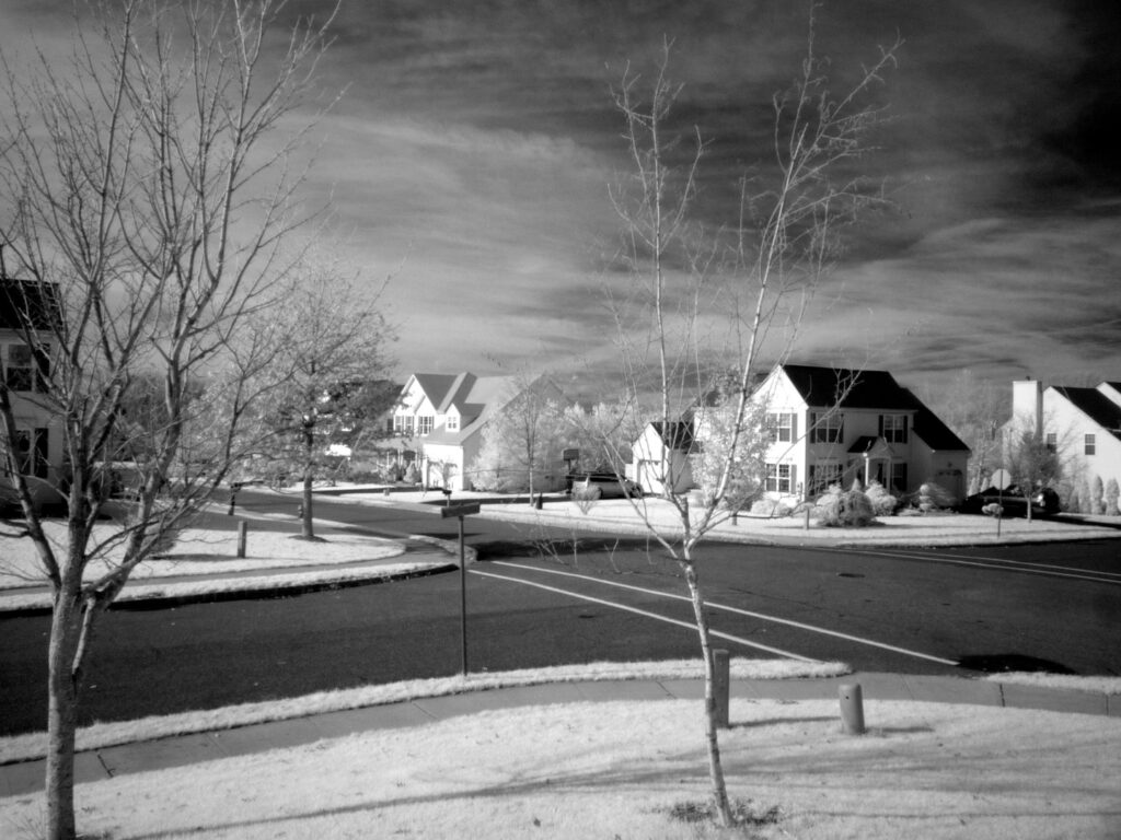 Panasonic Lumix LZ10 665nm BW