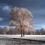 Thumbnail of 665nm 3