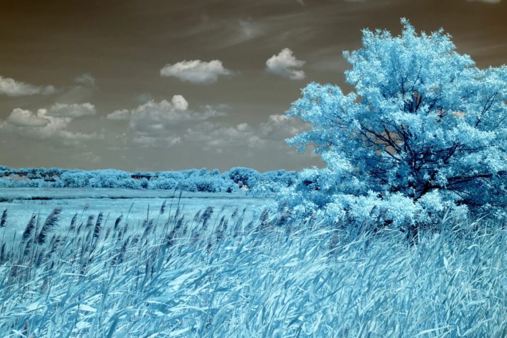 665nm after filter effect example