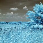 Thumbnail of 665nm after filter effect example