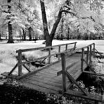 Thumbnail of Panasonic Lumix ZS6 720nm BW