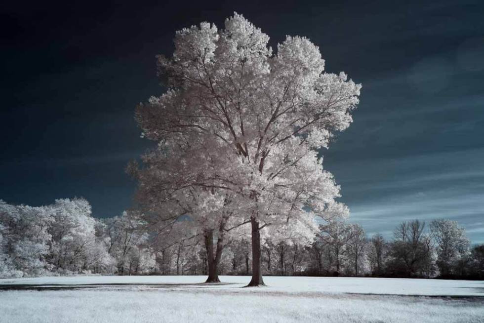 720nm 2 1024×683 Custom