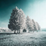 Thumbnail of Image name: 720nm Infrared Filter, Author name: William Martinez