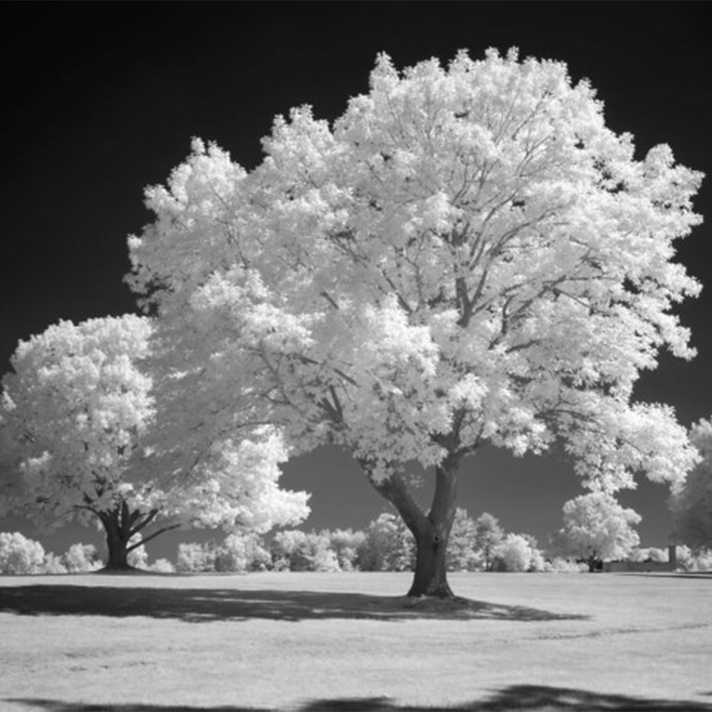 850nm infrared clipin