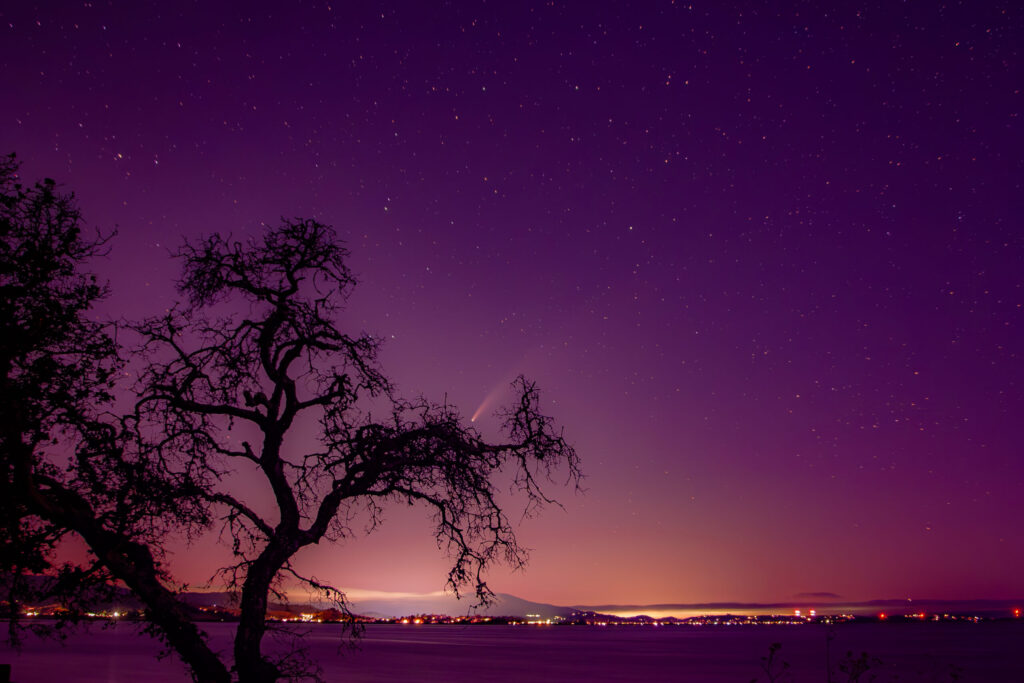 Image name: Comet & Tree, Author name: Jonathan Bretan