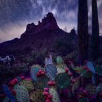 Thumbnail of Image name: Astro Landscape Prickly Pears, Author name: Tim Liscum