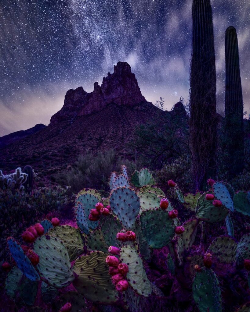 Image name: Astro Landscape Prickly Pears, Author name: Tim Liscum