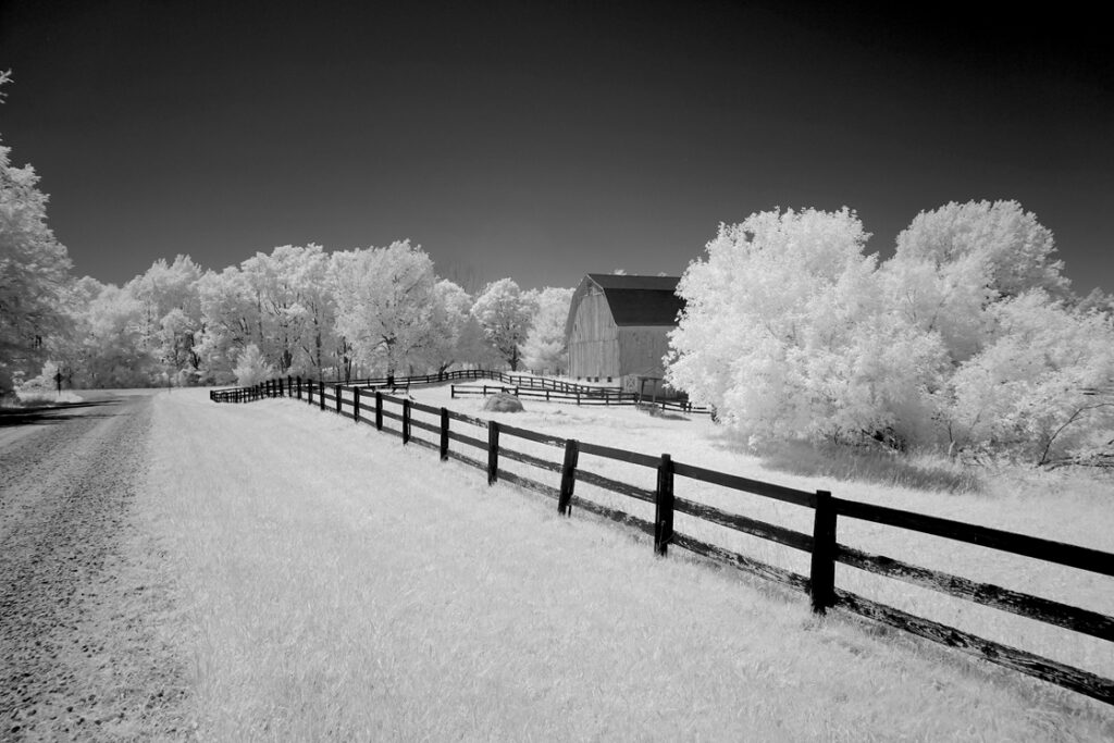 Barn Fence copy 22d83777 bf48 4598 a6b9 55df358693d1