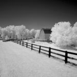 Thumbnail of Barn Fence copy 22d83777 bf48 4598 a6b9 55df358693d1