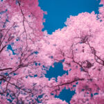 Thumbnail of C09D8F39 30A7 476A 8860 B68E8D6EAF25 768×576 1