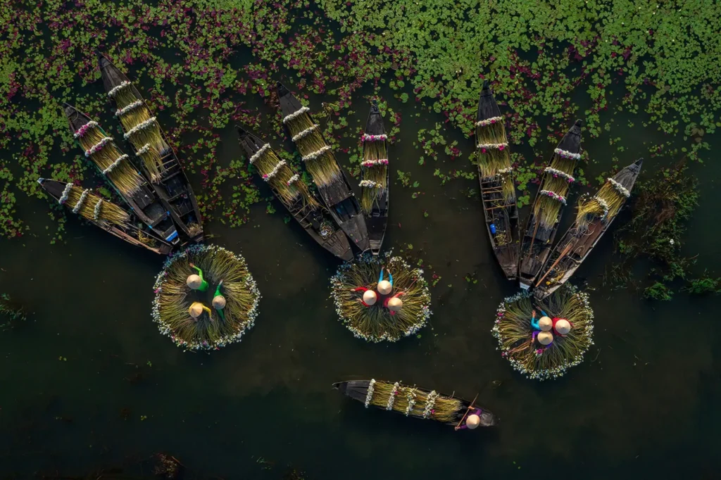 Image name: Collecting The Lilies, Author name: Shibasish Saha