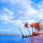 Thumbnail of DSC9566 拷贝 副本1 1fd77550 0fea 4ff9 8115 60b5fb56d667