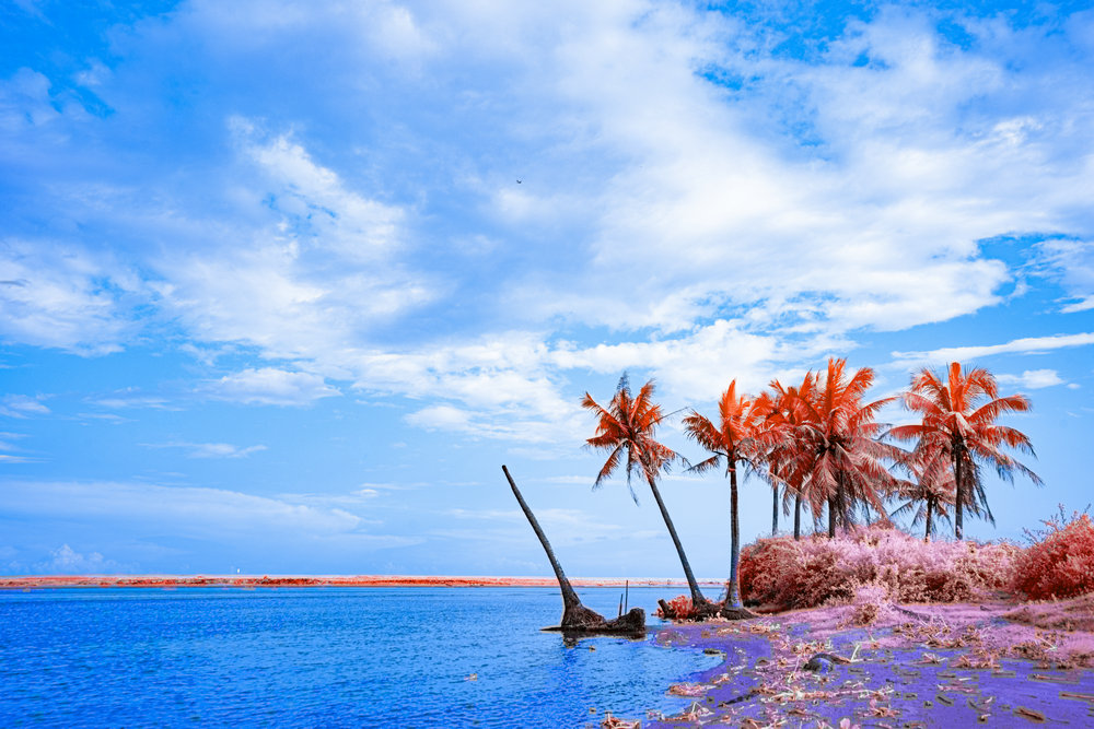 DSC9566 拷贝 副本1 1fd77550 0fea 4ff9 8115 60b5fb56d667