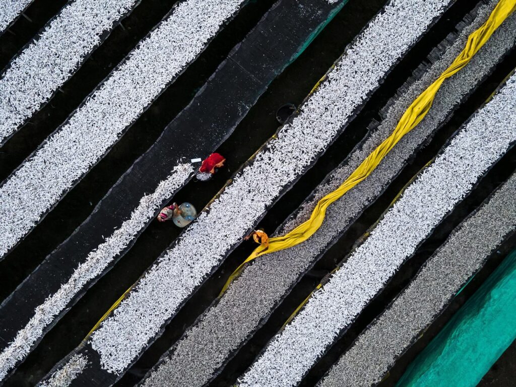 Image name: Dried Fish Processing, Author name: Muhammad Amdad Hossain