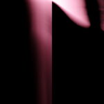 Thumbnail of L9998534