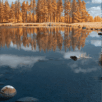 Thumbnail of LUT soft gold 01