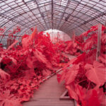 Thumbnail of LUT soft irchrome 01