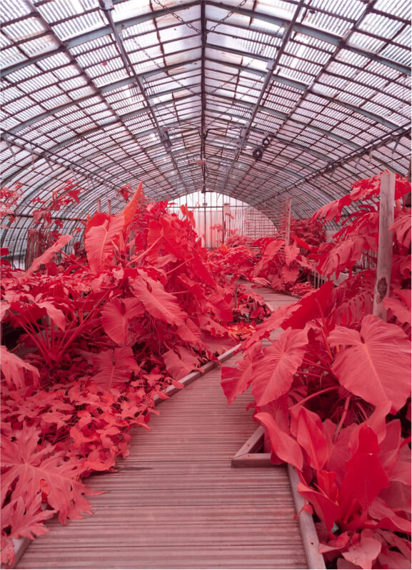 LUT soft irchrome 01