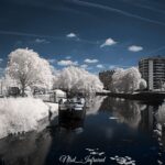 Thumbnail of Lille en 720Nm scaled