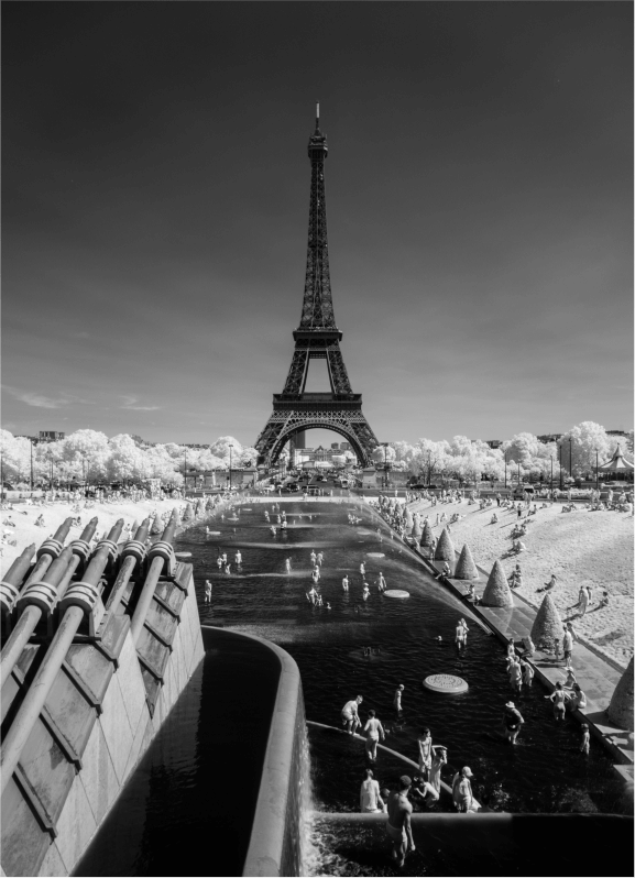 Lut Classic BW black 01