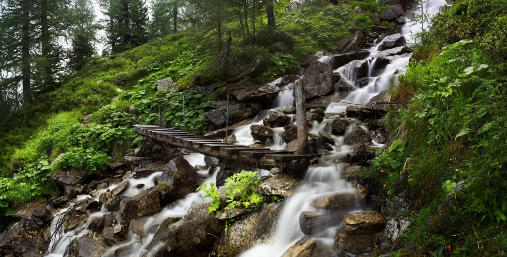 Image name: Bridge , Author name: Antonina Gritsun