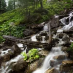 Thumbnail of Image name: Bridge , Author name: Antonina Gritsun