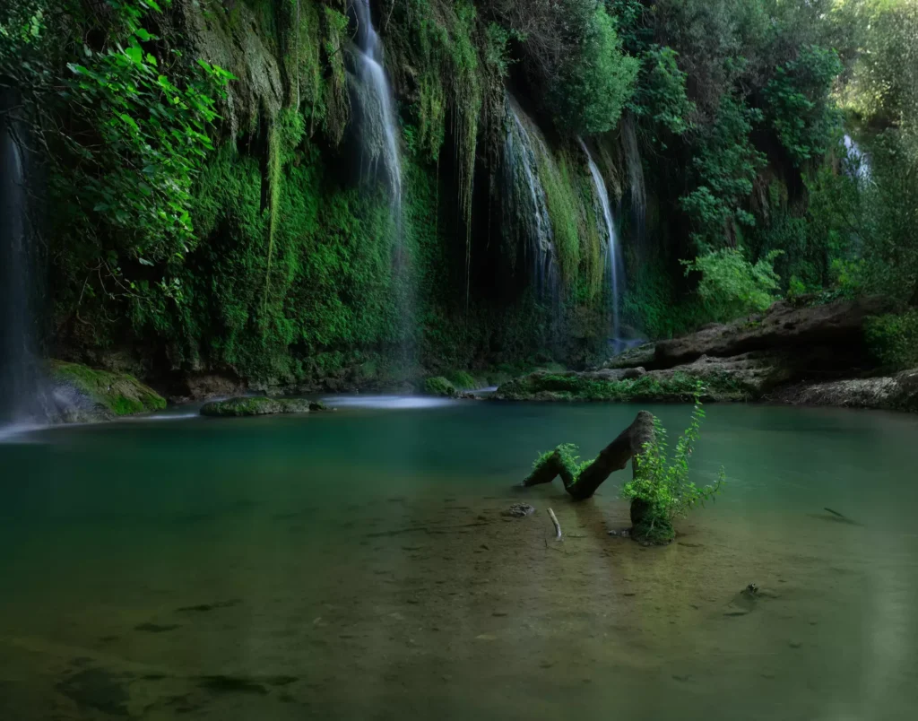 ND   Green Lake Antonina Gritsun