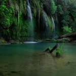 Thumbnail of ND   Green Lake Antonina Gritsun