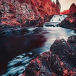 Thumbnail of Image name: Somewhere In Karelia, Author name: Alexandr Korolev