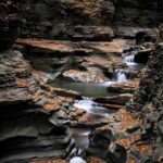 Thumbnail of ND – The Falls Nath Kaplan